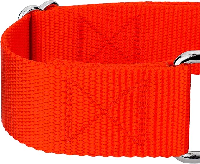 Country Brook Petz 1 1/2 Inch Martingale Heavy Duty Nylon Adjustable Dog Collar for Small, Medium, Large Breeds - Vibrant 17 Color Selection (Hot Orange, Large)