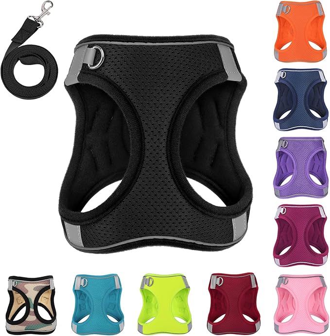 Dog Harness with Leash Set, No-Pull Step-in Reflective Pet Harness with 1 Leash Clips, Adjustable Soft Padded Easy Walk Dog Vest for Small Medium Large Dogs, Cats(Carbon Black, Large)