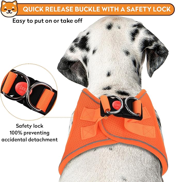 Dog Harness with Leash Set, No-Pull Step-in Reflective Pet Harness with 1 Leash Clips, Adjustable Soft Padded Easy Walk Dog Vest for Small Medium Large Dogs, Cats(Bright Orange, Medium)