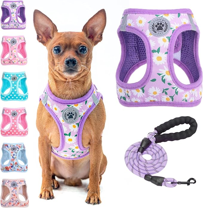 BEAUTYZOO Step in Dog Harness and Leash Set, Floral Pattern Reflective Dog Harness No Pull No Choke Puppy Harness for XXS XS S Dogs Cats, Soft Padded Mesh Vest Harnesses for Girl and Boy Pets