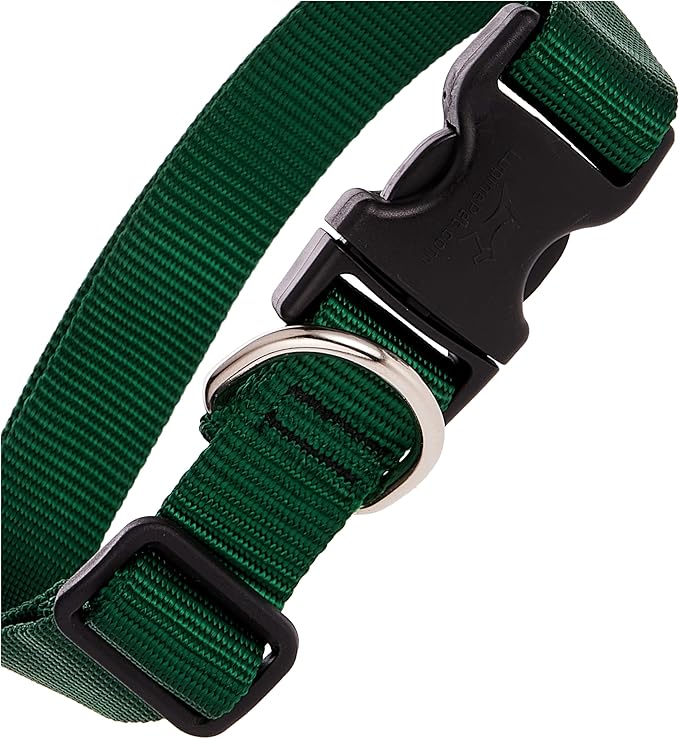 LupinePet Basics 1" Green 16-28" Adjustable Collar for Large Dogs