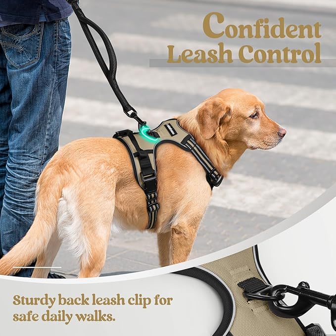rabbitgoo Dog Harness, No-Pull Pet Harness with 2 Leash Clips, Adjustable Soft Padded Dog Vest, Reflective No-Choke Pet Oxford Vest with Easy Control Handle for Medium Dogs, Beige, M
