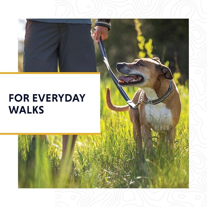 Ruffwear, Chain Reaction Dog Collar, Martingale Style for On-Leash Walking, River Rock Green, 11"-14"