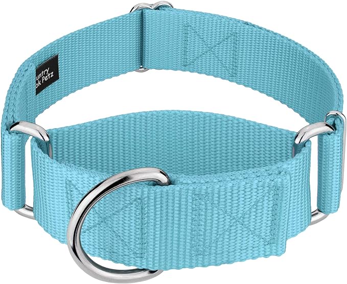 Country Brook Petz 1 1/2 Inch Martingale Heavy Duty Nylon Adjustable Dog Collar for Small, Medium, Large Breeds - Vibrant 17 Color Selection (Ocean Blue, Large)