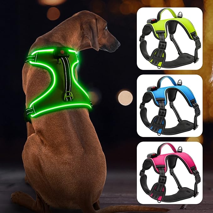 Light Up Dog Harness No-Pull LED Dog Harness with Handle Rechargeable Lighted Dog Vest Harness Dog Harness for X-Small/Small/Medium/Large/X-Large Size (Green, L)