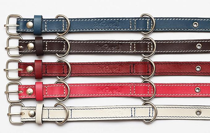 Premium Leather Collars with Stainless Steel Buckles (12"-15", Chocolate)