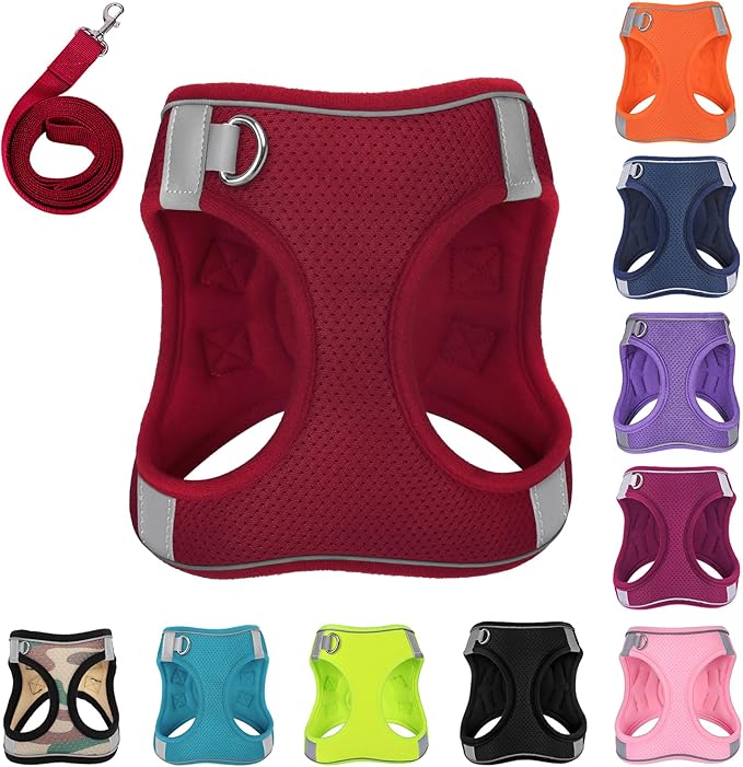 Dog Harness with Leash Set, No-Pull Step-in Reflective Pet Harness with 1 Leash Clips, Adjustable Soft Padded Easy Walk Dog Vest for Small Medium Large Dogs, Cats(Bright Red, XLarge)