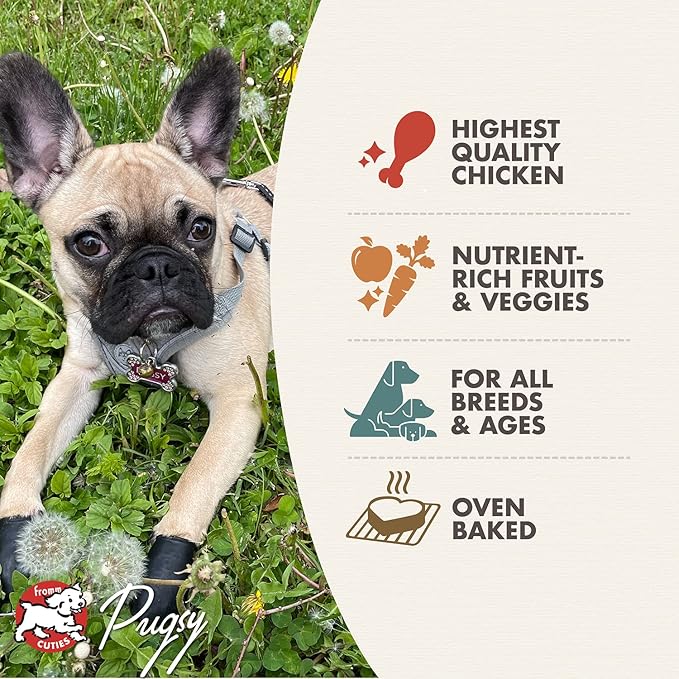 Fromm Four-Star Nutritionals Chicken with Peas & Carrots Dog Treats - Premium Oven Baked Dog Snacks - Chicken Recipe - Pack of (3) 8 oz Bags