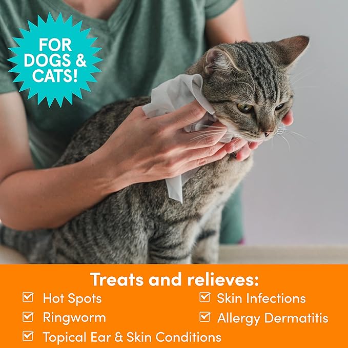 Nootie Medicated Dog Wipes, 2% Chlorhexidine and 2% Miconazole Formulated Pet Wipes for Dogs and Cats - 5"x 6" Size XL Wipes - 70 Count - Sold in Over 10,000 Vet Clinics and Pet Stores Worldwide