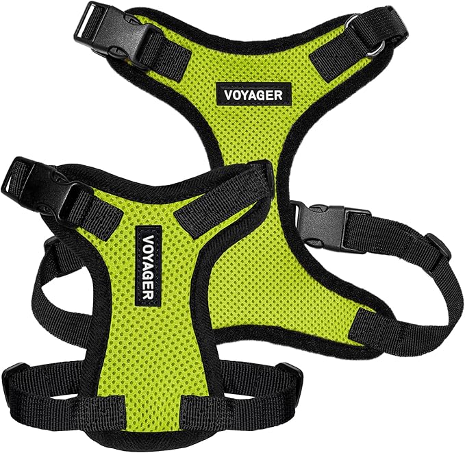 Voyager Step-in Lock Pet Harness - All Weather Mesh, Adjustable Step in Harness for Cats and Dogs by Best Pet Supplies - Lime Green/Black Trim, XL