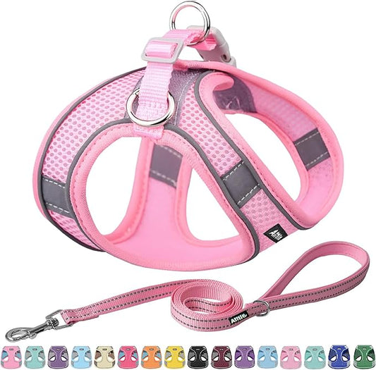 AIITLE Easy Walk Dog Harness and Leash Set - Pet Supply No Pull, Step in Adjustable Dog Harness with Padded Vest for Spring, Dog Harness No Choke Over, Easy to Put on Medium Dogs Pure Pink L