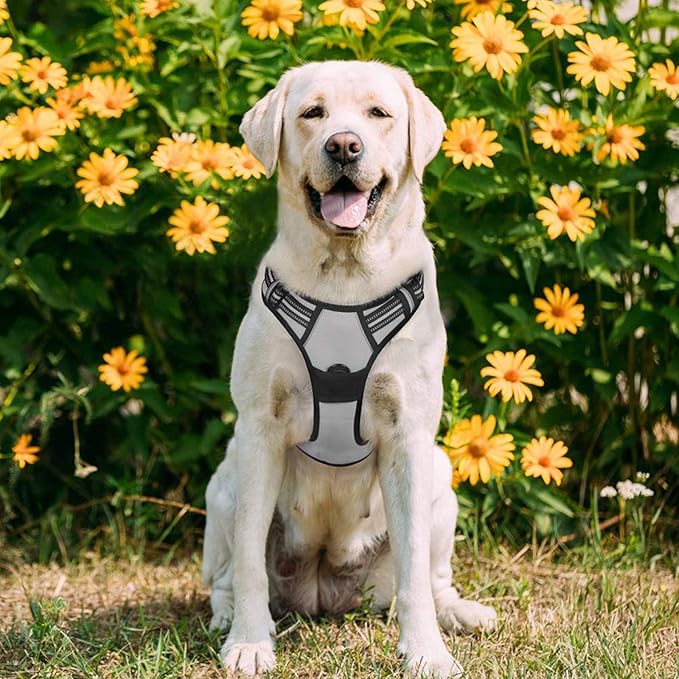 rabbitgoo Dog Harness, No-Pull Pet Harness with 2 Leash Clips, Adjustable Soft Padded Dog Vest, Reflective No-Choke Pet Oxford Vest with Easy Control Handle for Large Dogs, Grey, L