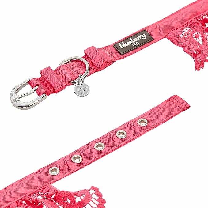 Blueberry Pet Floral Lace Adjustable Dog Collar in French Pink with Metal Buckle, Neck 13-16.5", for Medium Breed