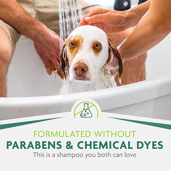 FURminator deShedding Ultra Premium Shampoo with Pump, 1 Allon, Shampoo for Dogs Helps Reduce Excess Shedding