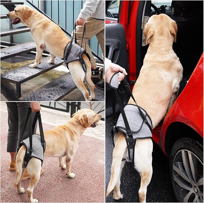 Dotoner Dog Sling for Large Dogs Hind Leg Support to Help Rehabilitate The Hind Limbs of Elderly Dogs with Weak Hind Legs Disabilities and Injuries Dog Harness Helps Arthritis ACL Recovery（S,Grey）