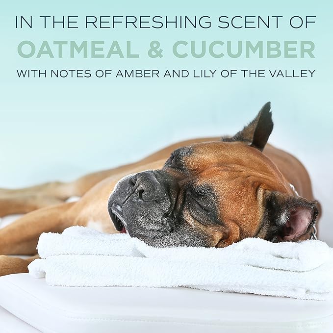 TropiClean SPA Lavish Dog Shampoo | Fresh Scented Deodorizing Dog Shampoo | Naturally Derived Salon Grade Ingredients | Made in the USA | 1 Gallon