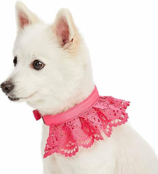 Blueberry Pet Floral Lace Adjustable Dog Collar in French Pink with Metal Buckle, Neck 13-16.5", for Medium Breed