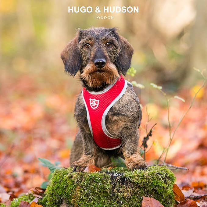 HUGO & HUDSON Dog Harness No-Pull Pet Harness Adjustable Quick Dry Mesh Padded Vest, Red, S