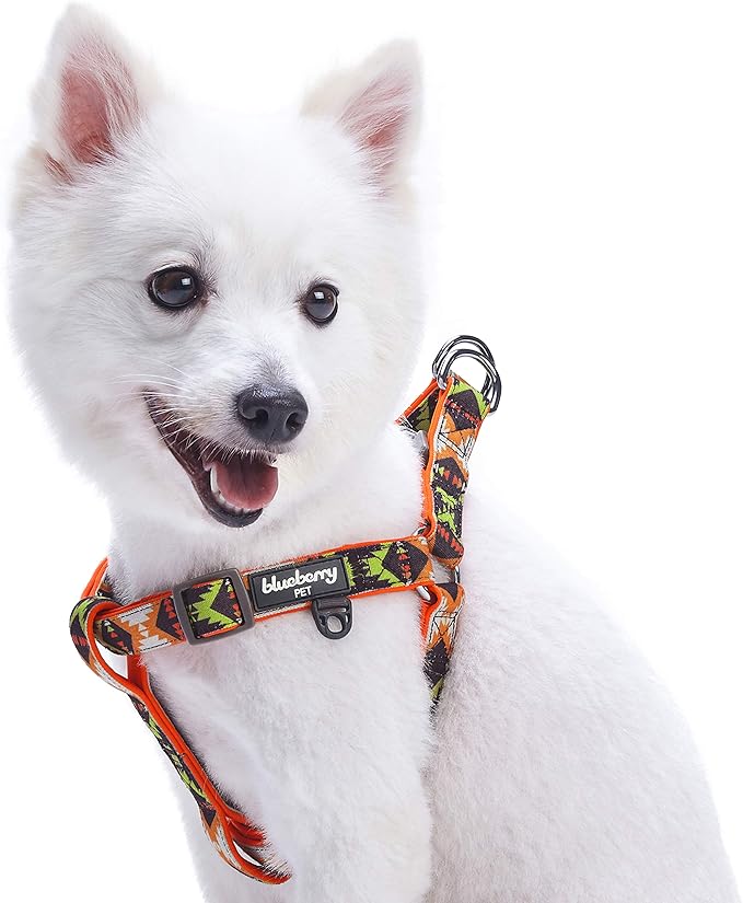 Blueberry Pet 2 Colors Soft & Comfy Step-in Southwestern Vintage Tribal Print Padded Dog Harness, Chest Girth 15.5" - 19.5", Extravagant Orange, XS/S, Adjustable Harnesses for Dogs