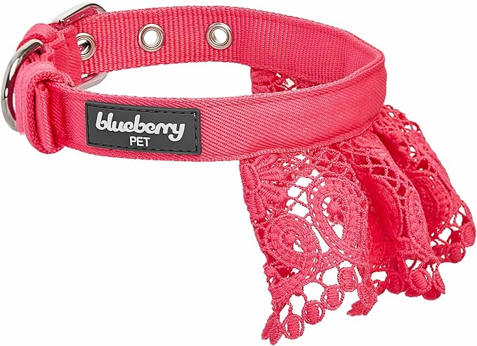 Blueberry Pet Floral Lace Adjustable Dog Collar in French Pink with Metal Buckle, Neck 13-16.5", for Medium Breed