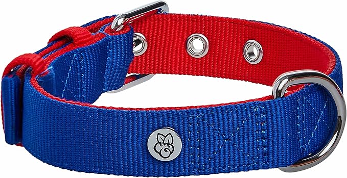 Blueberry Pet Iconic Color-Block Adjustable Dog Collar with Metal Buckle, Navy Blue and Red, Neck 17-20.5", for Large Breed