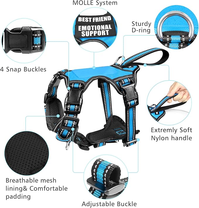 WINSEE Pet Harness Collar and Leash Set, All-in-one Reflective Dog Harness No Pull with Adjustable Buckles for Puppies, Small, Medium, Large, and Extra-Large Dogs (Small, Blue)