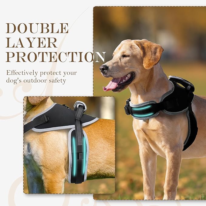 Reflective No Pull Dog Harness for Medium Dogs, Easy Control Dog Vest Harness, Breathable Mesh Harness, Comfortable and Adjustable, Metal Ring and Control Handle, Black M