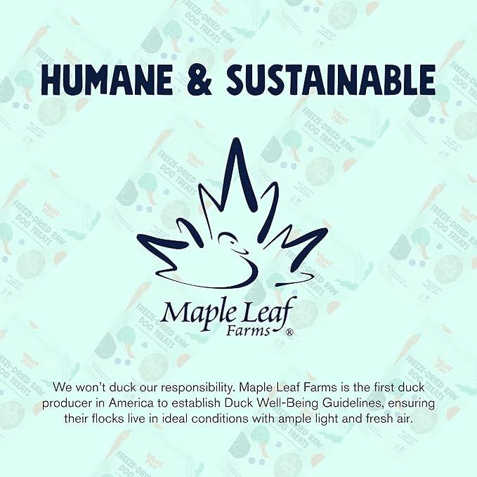 WEST PAW All-Natural Raw Freeze-Dried Dog Treats – Farm-Fresh Duck Training Treats for Dogs with Fiber, Beta Carotene, Vitamins A, E, C – Wholesome Canine Treat for Puppies, Senior Dogs – 2.5 Oz. …