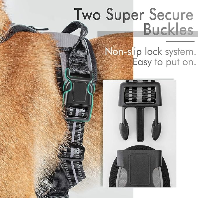 rabbitgoo Dog Harness, No-Pull Pet Harness with 2 Leash Clips, Adjustable Soft Padded Dog Vest, Reflective No-Choke Pet Oxford Vest with Easy Control Handle for Large Dogs, Grey, L