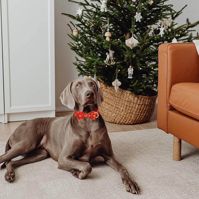 MR. CHUBBYFACE Christmas Gingerbread Man Dog Collar Gift for Boy Girl Dogs Adjustable Dog Collar Bowtie for Small Medium Large Dogs