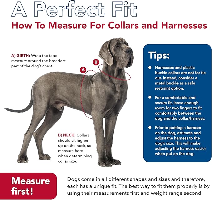 Coastal Pet Comfort Soft Reflective Wrap Adjustable Dog Harness - No-Pull Dog Harness for Small & Large Dogs - Lime - 5/8" x 19"–23"