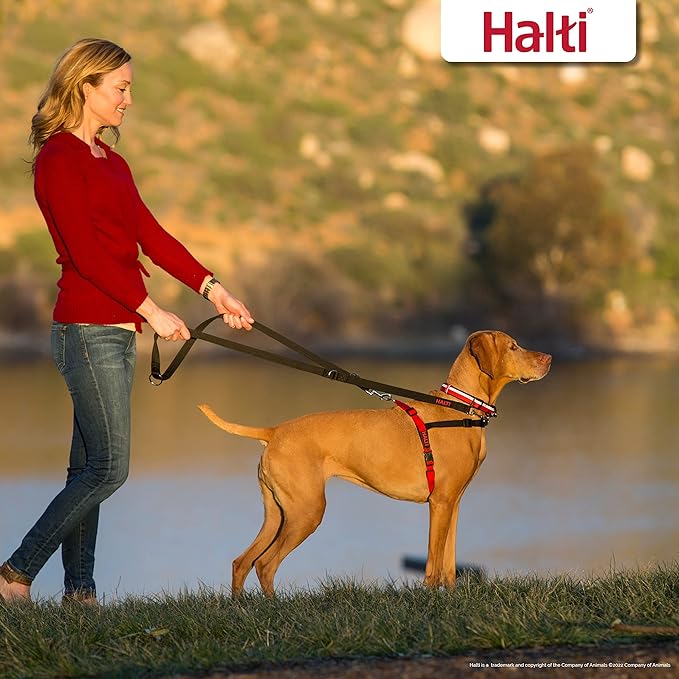 HALTI Front Control Harness Size Medium & HALTI Training Leash Size Large, Black Combination Pack - Stop Your Dog Pulling on The Leash. Adjustable, Lightweight & Easy to Use. Suitable for Medium Dogs