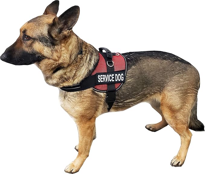 ActiveDogs Air-Tech Mesh Service Dog Vest Harness, XL Girth 29"-40" w/Handle, ADA Cards + Reflective Service Dog Patches - Red