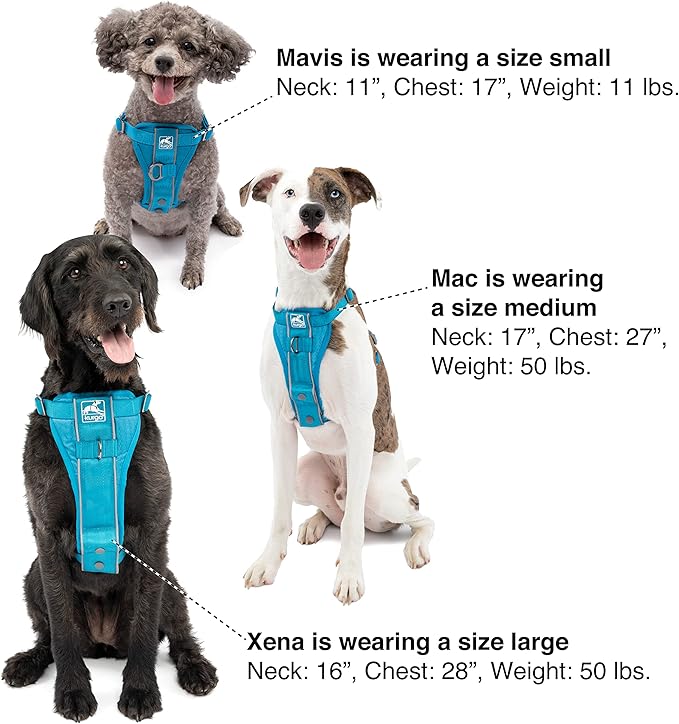 Kurgo Tru-Fit Smart Harness, Dog Harness, Pet Walking Harness, Quick Release Buckles, Front D-Ring for No Pull Training, Includes Dog Seat Belt Tether (Blue, Medium)