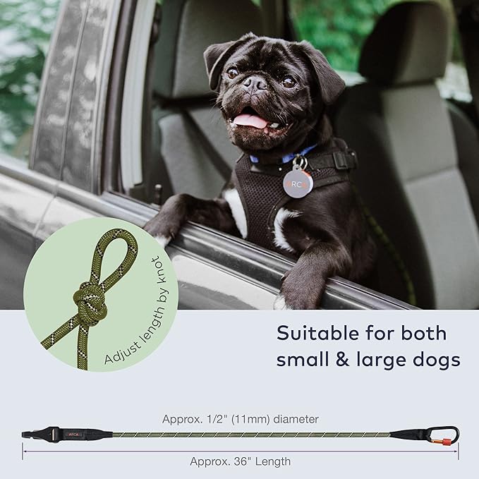 Dog Seat Belt for Car | Universal Dog Car Seatbelt | Durable Reflective Dog Seatbelt with Clip Hook Latch, Buckle and Carabiner- Safe and Secure Pet Safety Restraint for Dog (Army Green)