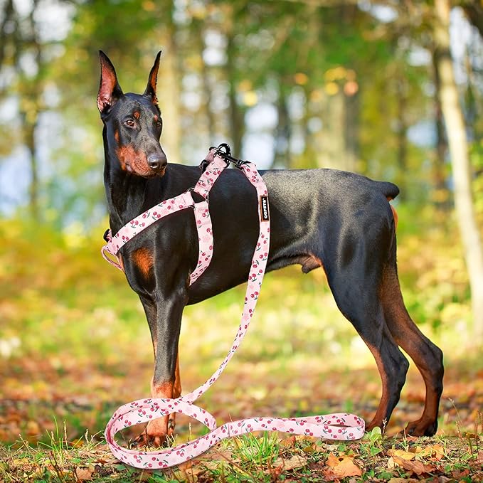 QQPETS Dog Harness Leash Set Adjustable Heavy Duty No Pull Halter Harnesses for Small Medium Large Breed Dogs Back Clip Anti-Twist Perfect for Walking (S(14"-20" Chest Girth), Sakura Pink)