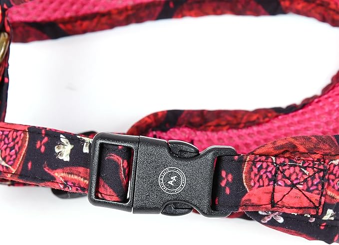 Angie and Allie Organic Cotton Dog Harness,No Pull Pet Harness with Leash D-Ring,Adjustable Soft Padded Dog Vest,Comfortable,Sustainable,Breathable and Stylish for Your Canine Companion