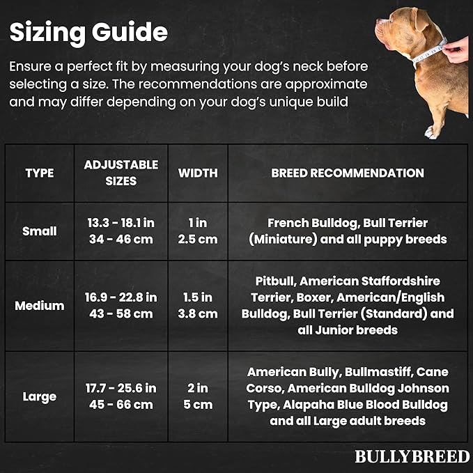 BULLYBREED Premium Dog Colar with Handle, Heavy Duty Dog Collar, Tactical Dog Collar, Quick-Release Metal Buckle, Thick Dog Collar, Dog Collar for Medium Dogs, Dog Collar for Large Dogs (Tan, M)