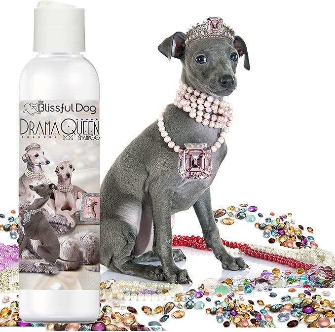 The Blissful Dog Italian Greyhound Drama Queen Dog Shampoo, 4 oz.