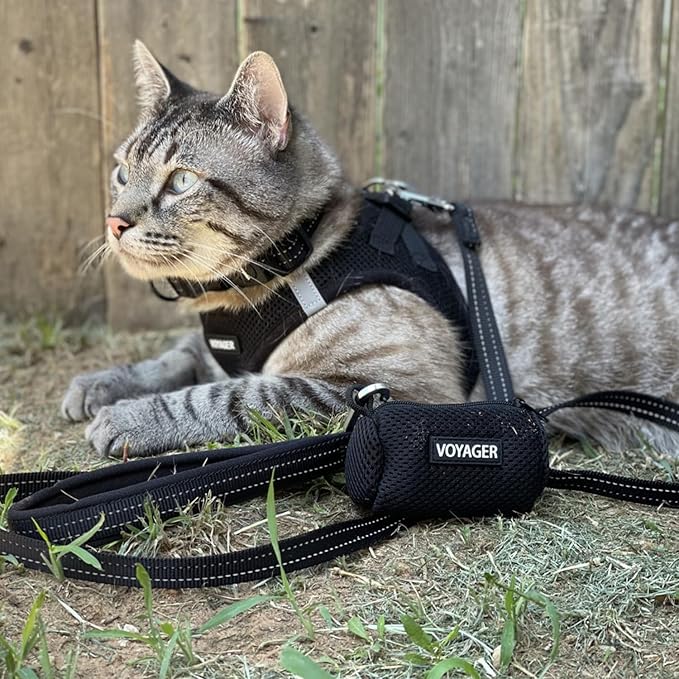 Voyager Step-in Air Dog Harness - All Weather Mesh, Reflective, No Pull Harness for Small, Medium Dogs, Cats - Secure with Hook & Loop Fastener, Buckle, Double D-Rings - Black, M