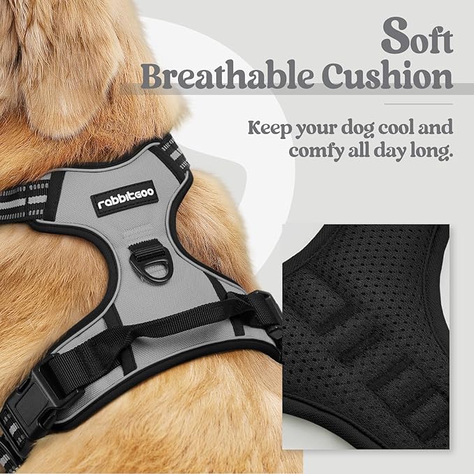 rabbitgoo Dog Harness, No-Pull Pet Harness with 2 Leash Clips, Adjustable Soft Padded Dog Vest, Reflective No-Choke Pet Oxford Vest with Easy Control Handle for Medium Dogs, Grey, M