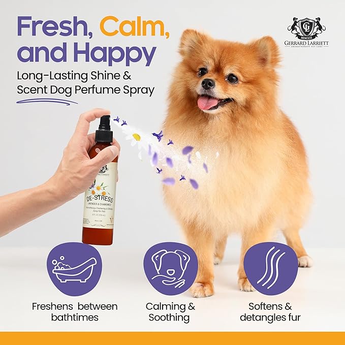 Dog Perfume Spray Long Lasting Chamomile & Lavender 8 Fl Oz, Dog Cologne Spray Long Lasting for Groomers, Calming Deodorizer Perfume for Dogs, Pet Puppy Deodorizing Fragrance by Gerrard Larriett