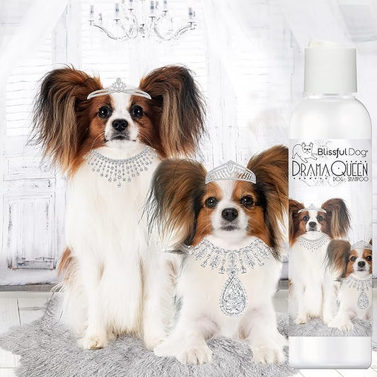 The Blissful Dog Papillon Drama Queen Dog Shampoo, 4-Ounce