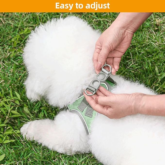 Dog Harness with Leash Set, Adjustable Soft Mesh Padded Reflective Dog Harnesse, Dog Leash with Soft Padded Handle, Puppy Harness and Leash Set for Walking,Training - Green, XXS