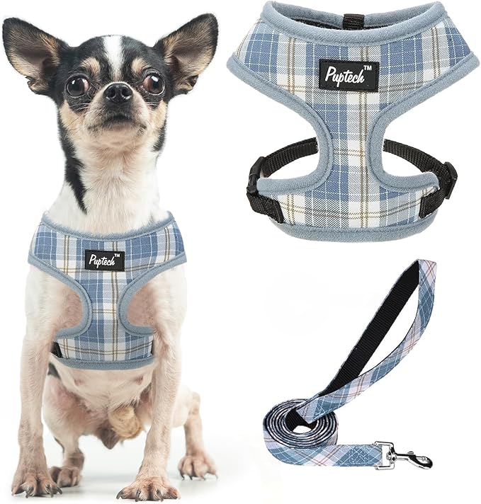 PUPTECK Soft Mesh Dog Harness and Leash Set Pet Puppy Cat Comfort Padded Vest No Pull Harnesses, Sky Blue, XS