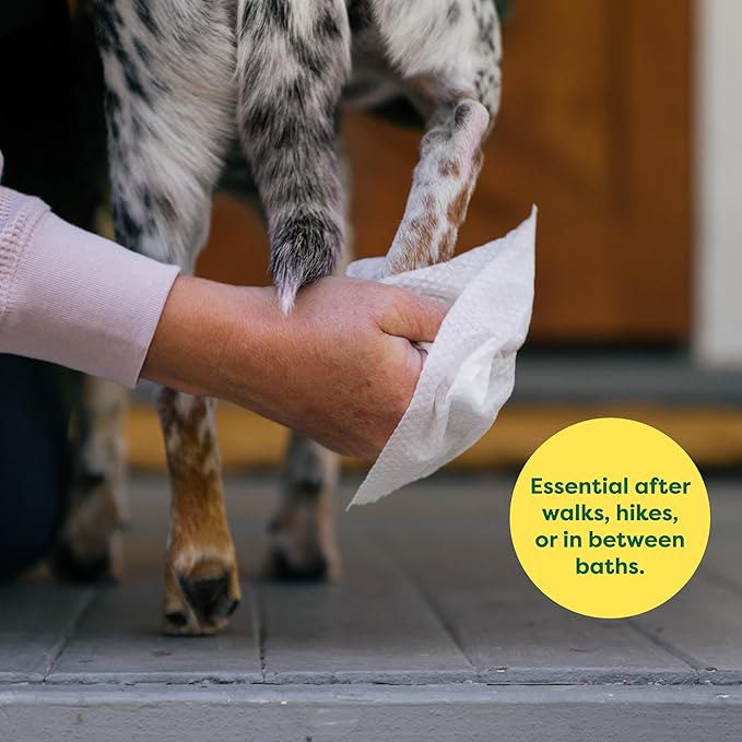 Earth Rated Pet Grooming Wipes for Dogs and Cats, Hypoallergenic, Cleaning and Hydrating, for Paws, Body and Butt, Unscented, 100 Count