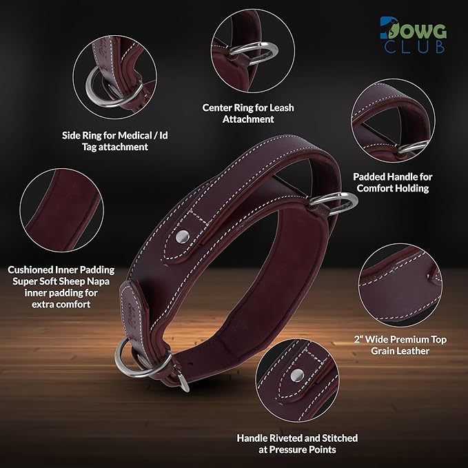 Leather Dog Collar with Handle, 2 Inch Wide Saddle Grade Cherry Leather Dog Collar for Extra Large Dogs | Heavy Duty, Comfortable, Inner Soft Padded | (XL (Fit Neck Size 22"-26"), Cherry)