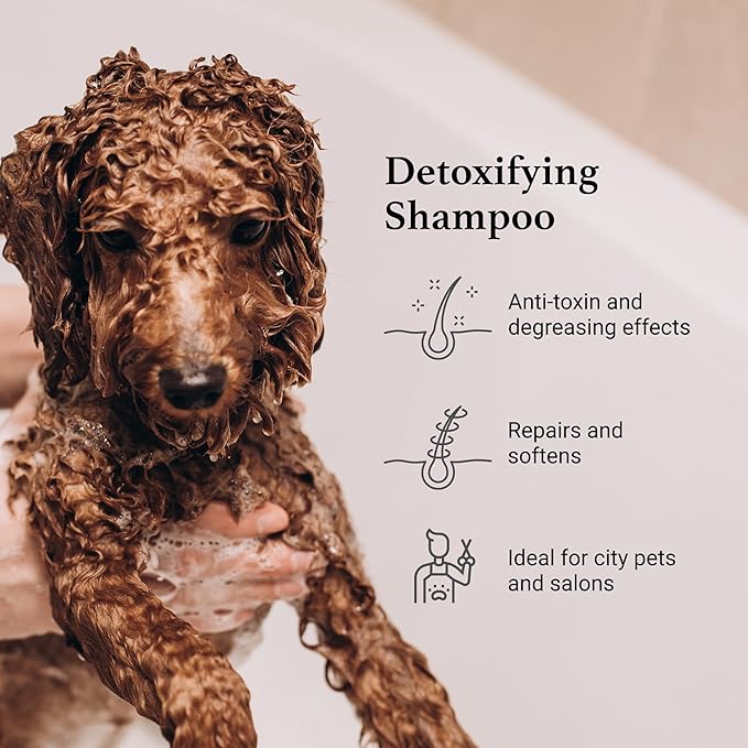 iGroom Charcoal Keratin Dog Shampoo, Luxury Pet Beauty Care, Protect Coat and Skin, Detoxifies with Charcoal, Made in USA, 16 oz