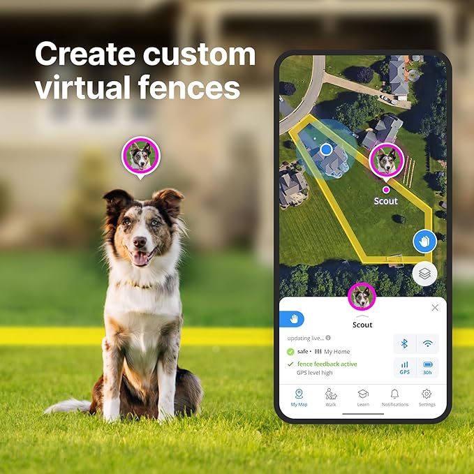 Halo Collar 4, All New GPS Wireless Dog Fence & Dog Training Collar with GPS Tracker, Subscription Required, Waterproof, One Size, Orchid