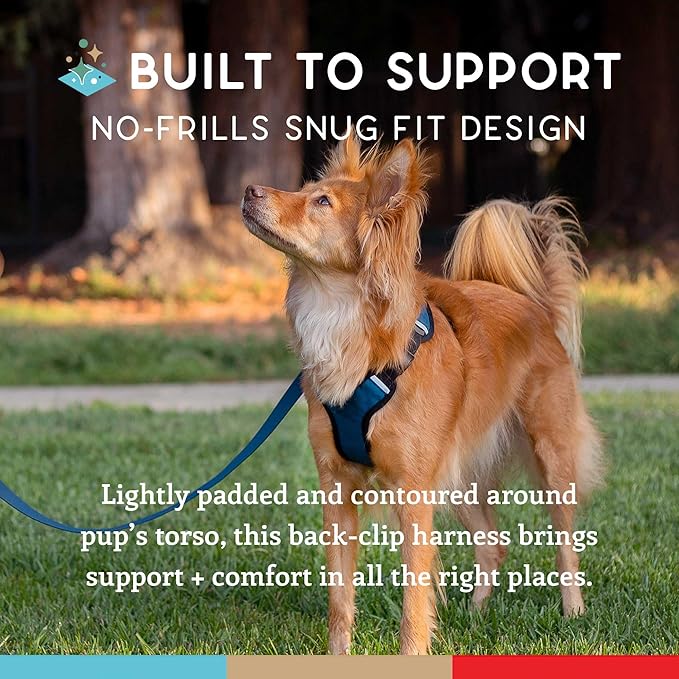 Dog Harness, Puppy Harness, Soft Harness for Dogs, Comfortable Dog Harness, Small Dog Harness, Dog Harness with Padding, Snug Fit Design, 4 Point Adjustable - Wildebeest (XS - 15~20 inch Girth, Navy)